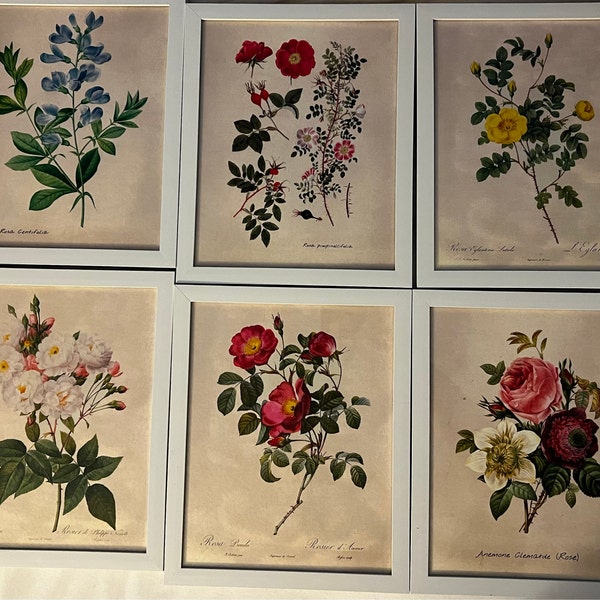 Vintage Roses Wall Art Prints (set of 6) - 8x10s | Botanical Decor - Etsy
