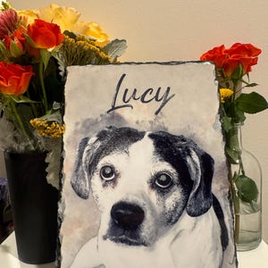 Jessie added a photo of their purchase