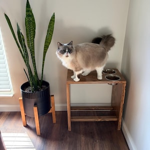 Trisha added a photo of their purchase