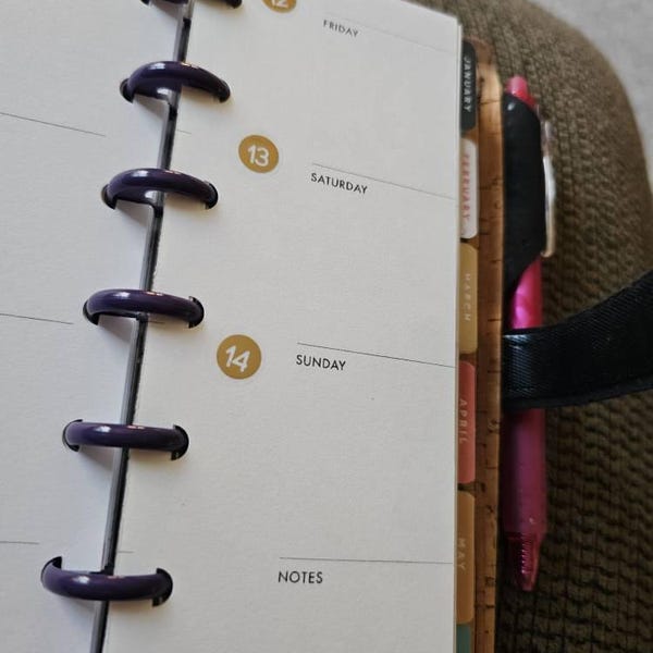 SKINNY MINI Happy Planner Inserts, Happy Planner Skinny Mini Printable ...