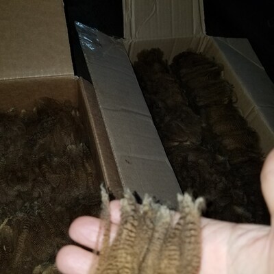 Merino Fleece, Raw Wool, 4 Lbs, 15 Oz Merino Sheep Fleece, Hand ...