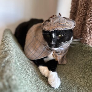 Sherlock holmes cheap cat costume