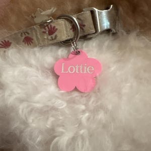 Lola added a photo of their purchase
