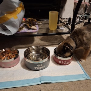 Rebecca added a photo of their purchase