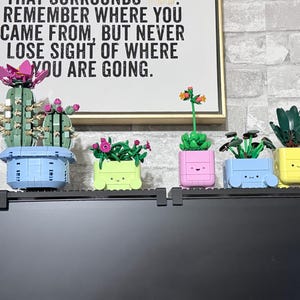 Susan added a photo of their purchase