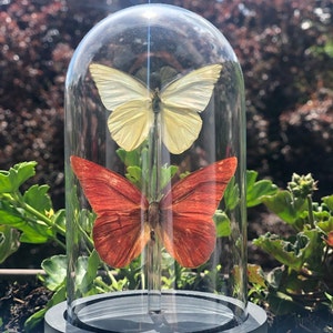 Mariane ha añadido una foto de su compra