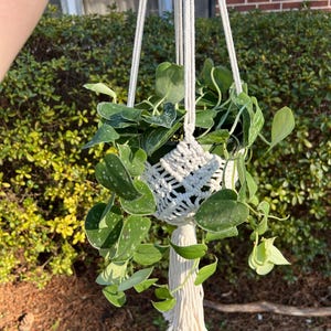 Ali added a photo of their purchase