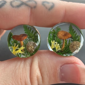 Bee added a photo of their purchase