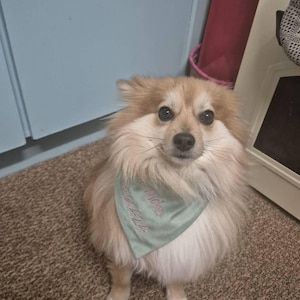Louise ha añadido una foto de su compra