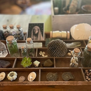 WildandHoly added a photo of their purchase