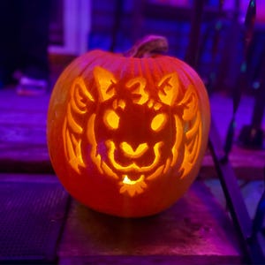 Bug added a photo of their purchase