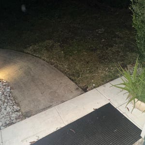 Honey added a photo of their purchase