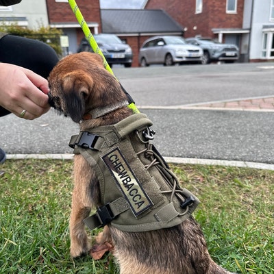 Custom Multicam Army Name Patch Personalised - Etsy UK