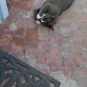 Gail added a photo of their purchase