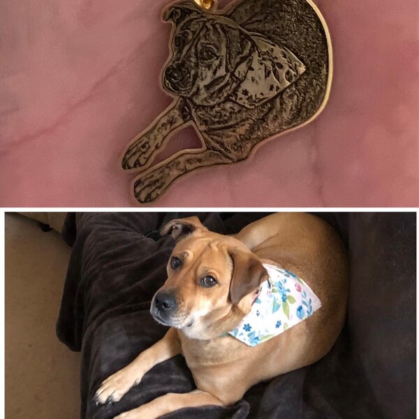 Personalised Photo Keyring Pet Memorial Personalised Photo Keyring – Custom Pet Memorial Gift For Cat Or Dog Loss (Silver Circle) Pet Memorial Gifts - Foto 4