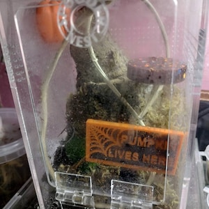 Beth added a photo of their purchase