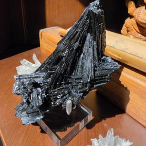 Brandon さんが購入した商品の写真を追加しました