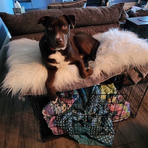 Diana added a photo of their purchase