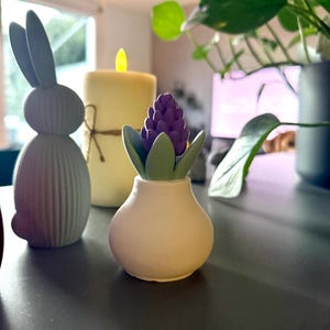 Danie added a photo of their purchase