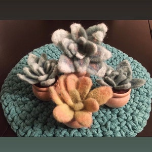 Olivia added a photo of their purchase