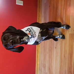 Sarah added a photo of their purchase