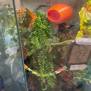 Lori added a photo of their purchase