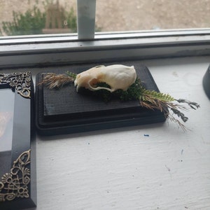 Chloe added a photo of their purchase