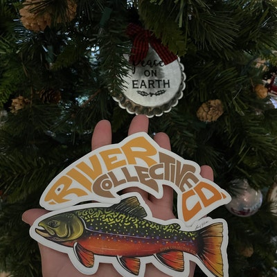 Rainbow Trout Sticker Decal 20% Flows to Western Rivers - Etsy