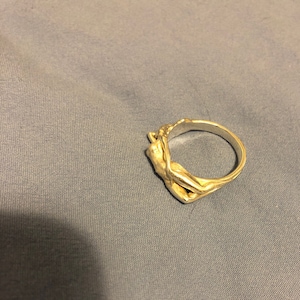 erotic web Art ring erotic web Art ring