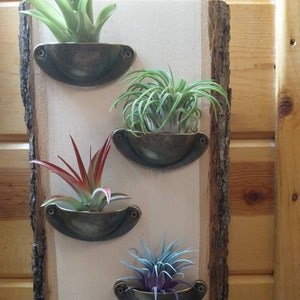 Christina added a photo of their purchase