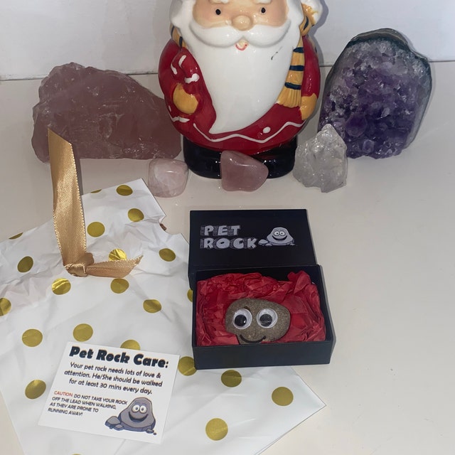 Pet Rock ® Funny Novelty Gift Ideas Ideal for Birthday Presents, Wedding  Favours, Party Bags 