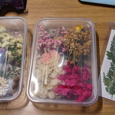 Dried Flowers For Resin Art And Craft, Packaging Size: In A Box At - Foto 12