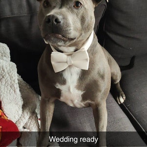 Maddie added a photo of their purchase