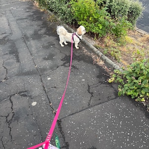Kirsty added a photo of their purchase
