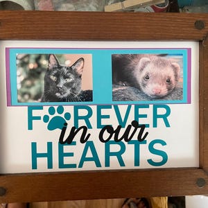 Lorna added a photo of their purchase