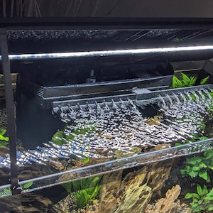 Kathy added a photo of their purchase