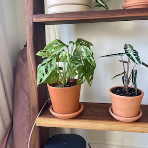 Melissa added a photo of their purchase