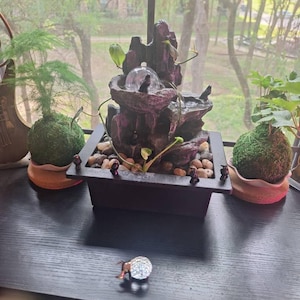 QueenVeg ha aggiunto una foto del proprio acquisto