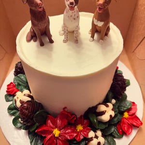 Pavida added a photo of their purchase