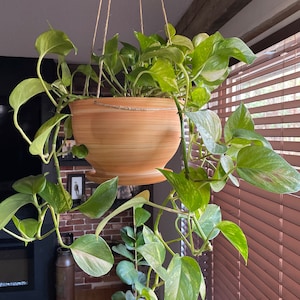Chereylene added a photo of their purchase