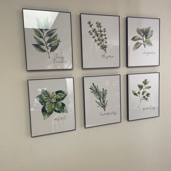 Kitchen Herbs Art Prints - Botanical Prints - (set of 6) - 8x10s - Etsy