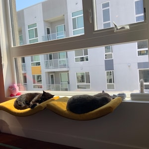 Blair added a photo of their purchase