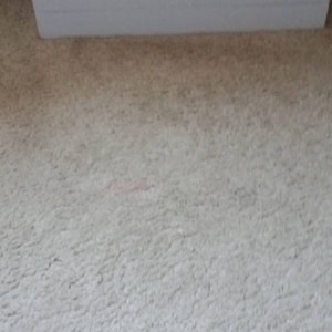 Michelle added a photo of their purchase