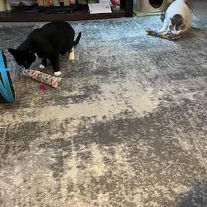 Kim added a photo of their purchase