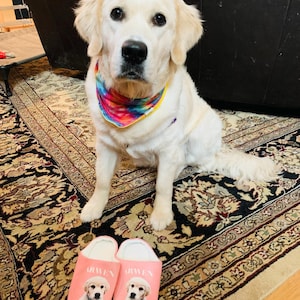 Nicole added a photo of their purchase
