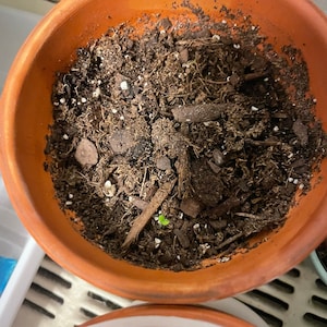 Elizabeth ha añadido una foto de su compra