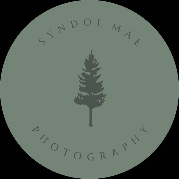 Photography Branding Kit, Mountain Logo Design, Premade Watermark Logo ...