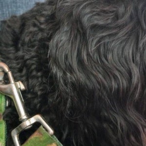 Valerie added a photo of their purchase