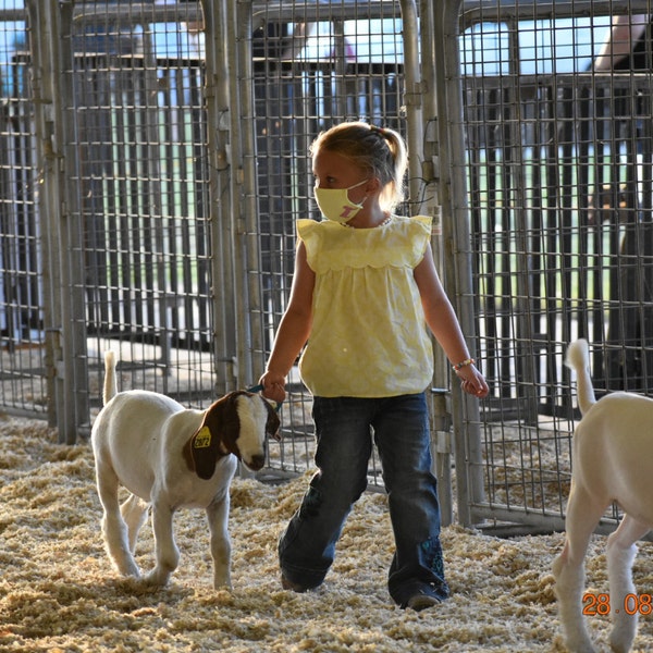 Made to Order Custom Livestock Tumblers 20oz - Etsy
