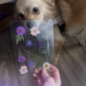 Abigail added a photo of their purchase